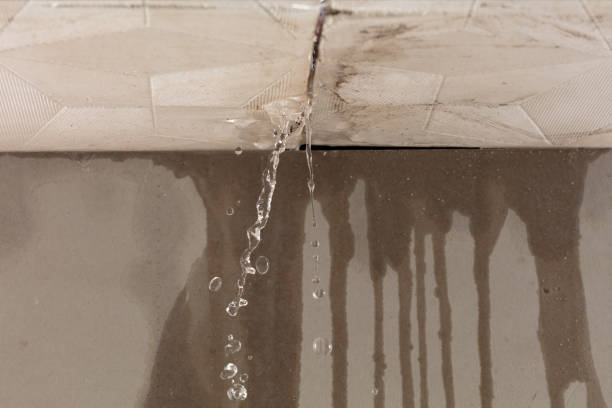 Professional Sewage Cleanup technician working in Kaneville, IL